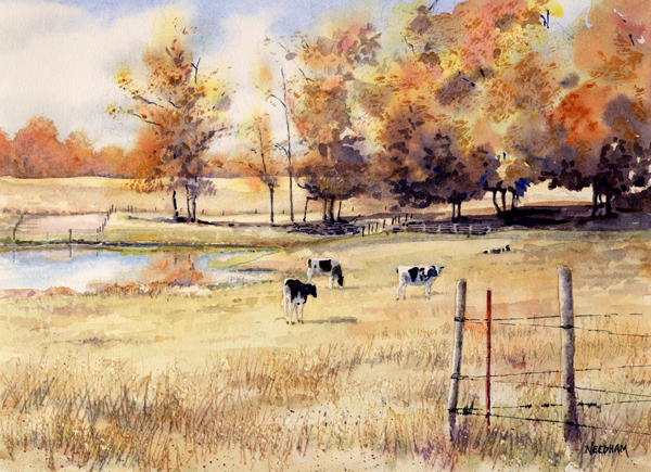 GEORGIA COWS, watercolor by Thomas A Needham