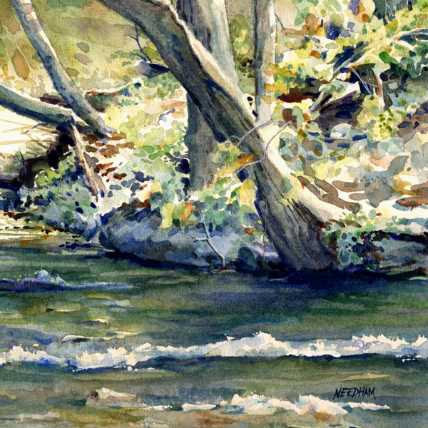 AFTERNOON TRANQUILITY detail by Thomas A Needham