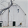 BarnCats Icon