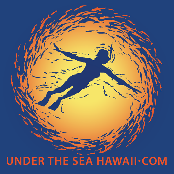 Under The Sea Hawaii Identity