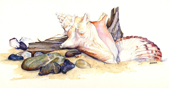 BEACHCOMBER'S DELIGHT, seascape watercolor by Thomas A Needham