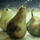 Pears Icon